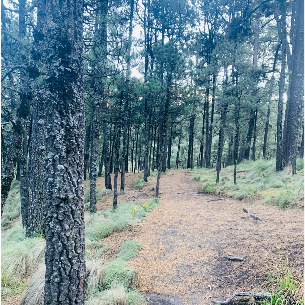 Meet your Posher, Bernarda